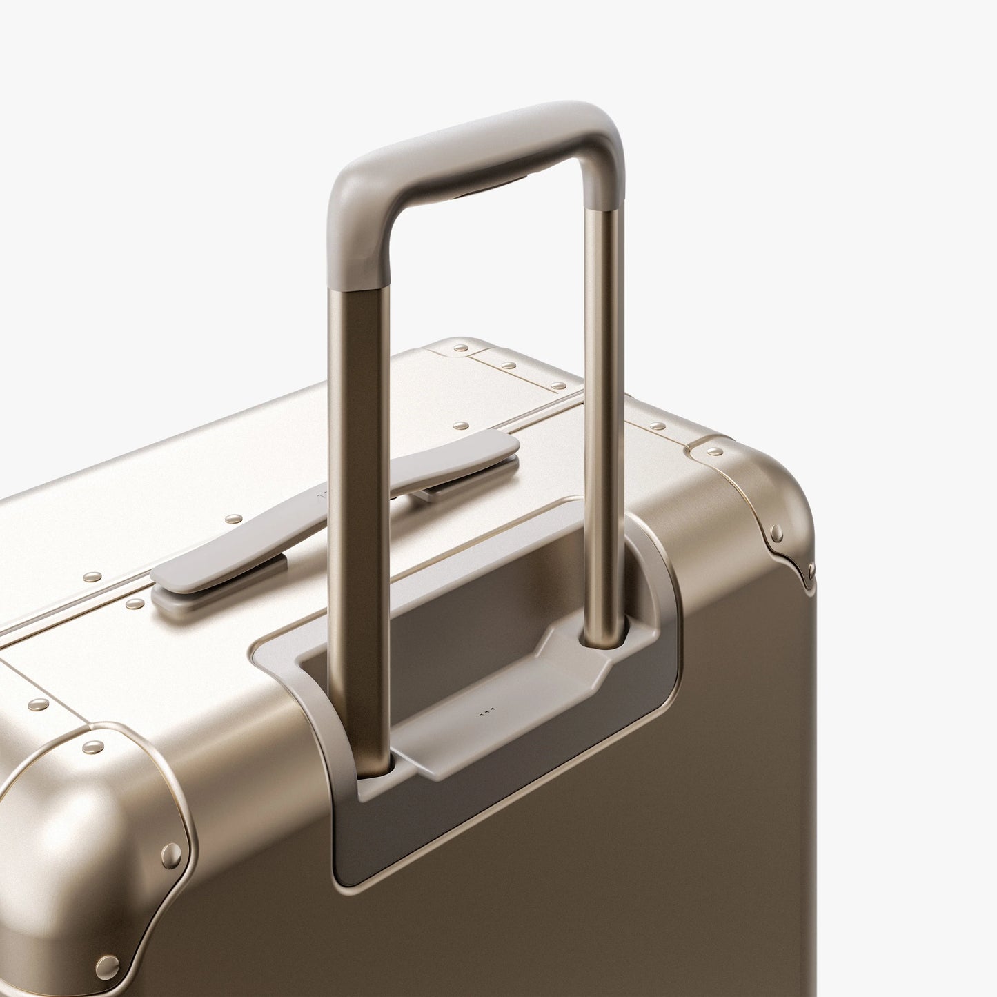 Aluminum Check-In Medium